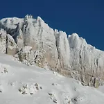 Savoia