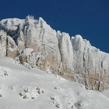 Savoia